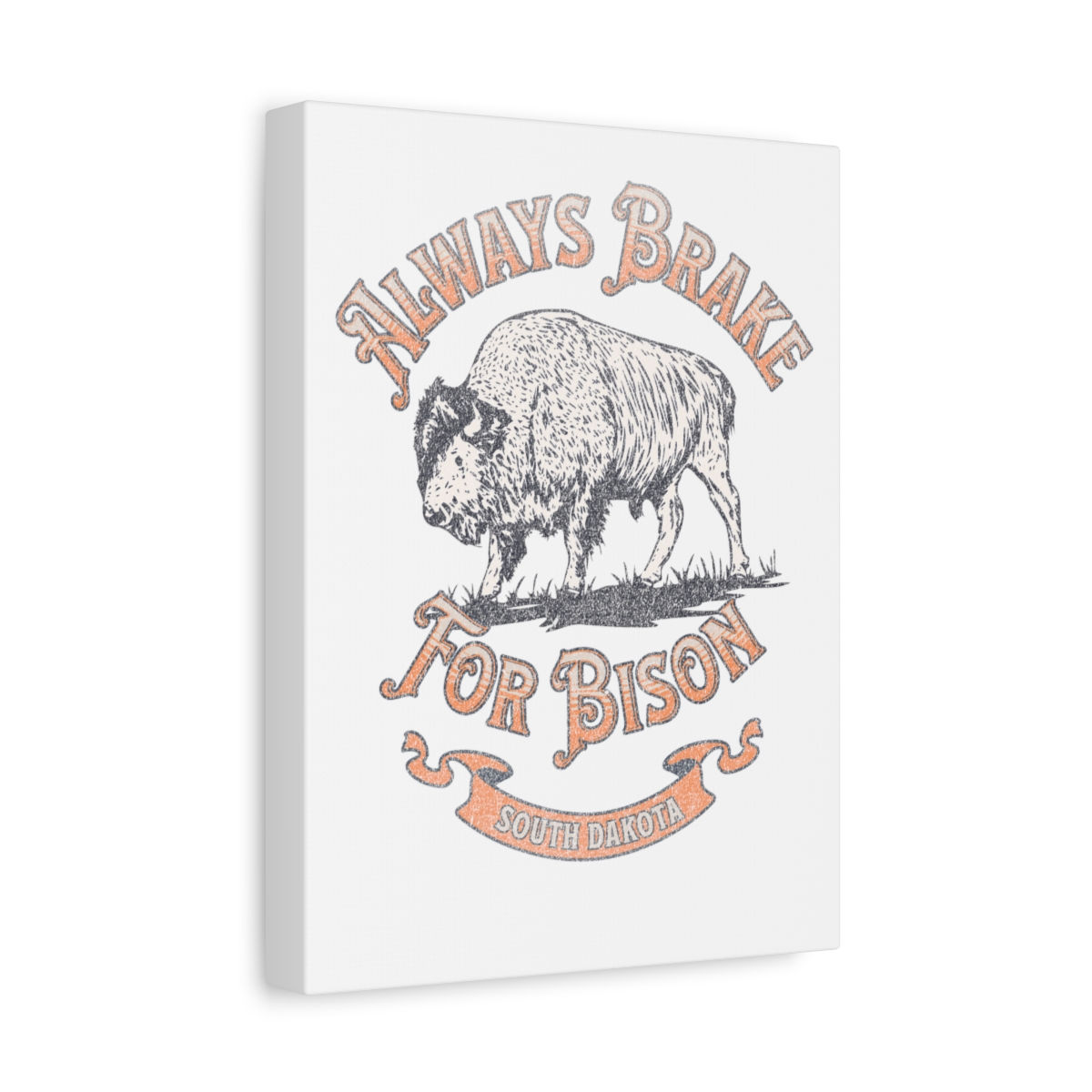 Bison South Dakota: Matte Canvas, Stretched, 1.25"