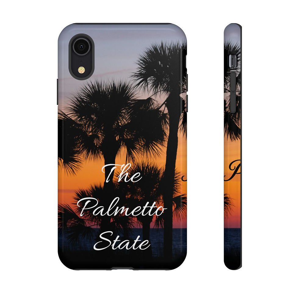 Thumbnail: Palmetto State South Carolina: Tough Cases