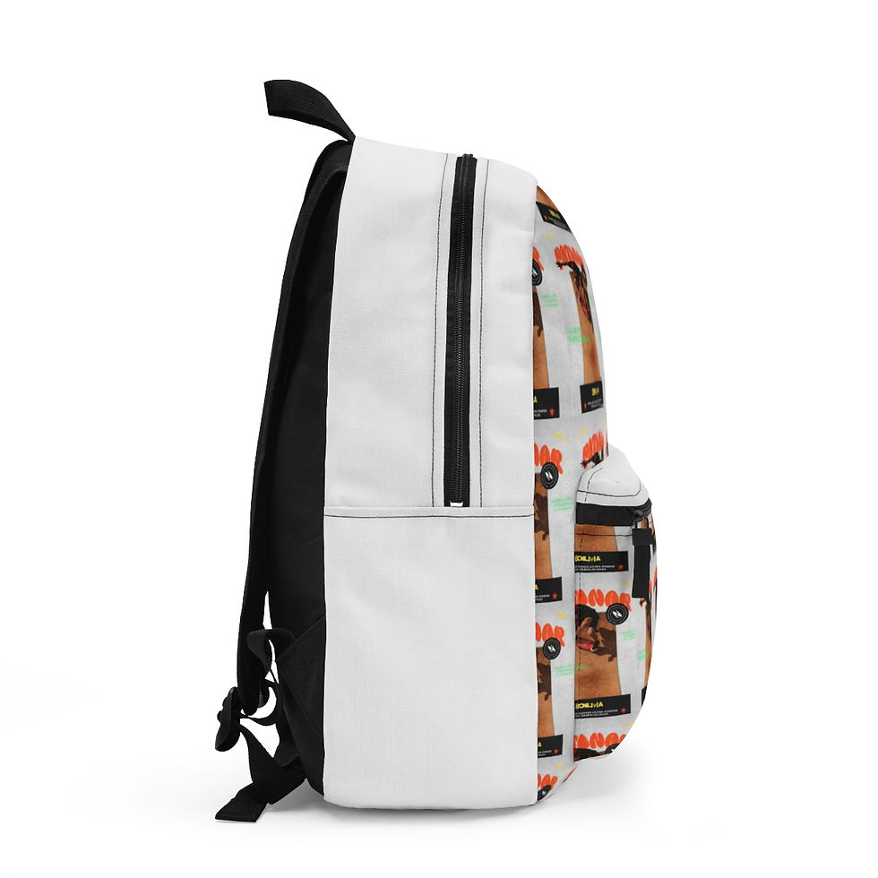 Thumbnail: Patinar Bolivia: Backpack