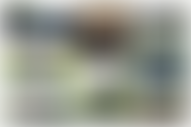 Bowling Report - Week ending 05th June 