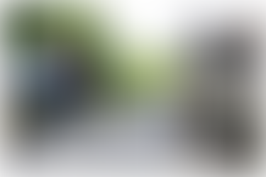 Bowling Report - Week ending 06th November