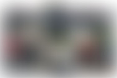 Bowling Report - Week Ending 07.11.21