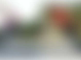 Bowling Report - Week ending 20/02/22