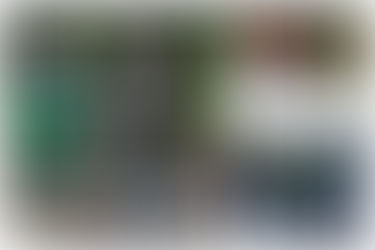 Bowling Report - Week ending 16th October