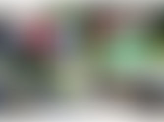 Bowling Report - Week ending 03rd July