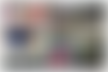 Bowling Report - Week ending 11th June