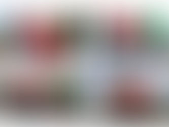 Bowling Report - Week ending 31st July