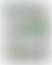 The Southern Star: Ireland rules the road 