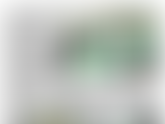 The Southern Star: Ireland rules the road