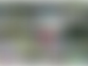 Bowling Report - Week ending 26th June