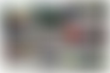 Bowling Report - Week ending 06th June 