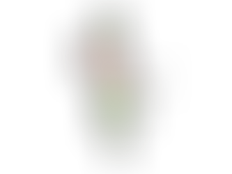 Bowling Report - Week ending 05th November