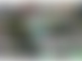 Bowling over the weekend - 23rd & 24th July