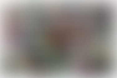 Bowling Report - Week ending 23rd July 