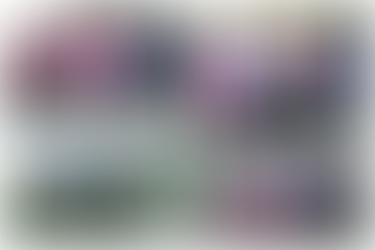 Bowling Report - Week ending November 13th