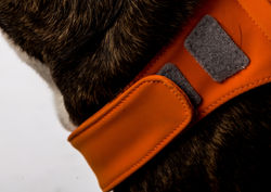 Hadassa_25_6_14-760 - Copy.jpg