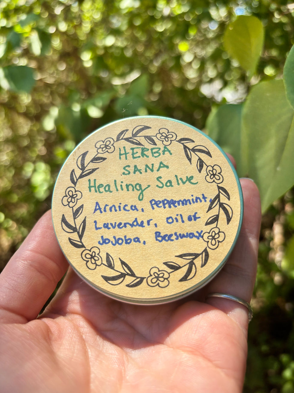 Thumbnail: Herba Sana: Healing & Cooling Salve