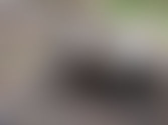 Preservación y recuperación de colecciones de interés científico de Argentina 2021