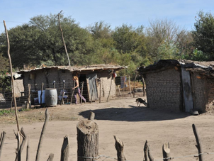 Usarán Big Data para detectar dónde se esconde el Chagas