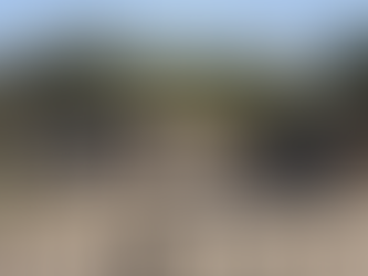 Usarán Big Data para detectar dónde se esconde el Chagas