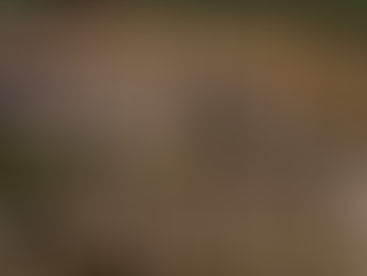 Proyecto de FACSO recupera y pone en valor el archivo de la fábrica Calera Avellaneda