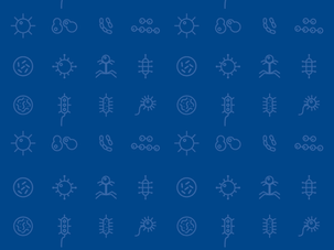 Subsidios de investigación en enfermedades infecciosas y vulnerabilidad social