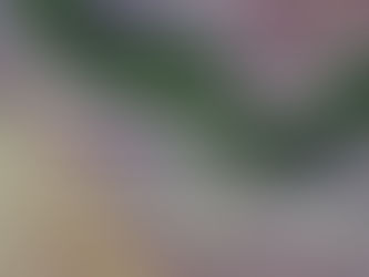 Participamos de la 2da Conferencia sobre Knowledge Discovery & Data Mining 2021