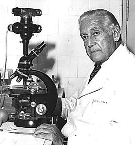 B&B_Identificador Principal_RGB-02.png