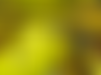 Presente Continuo 2025: abierta la inscripción a la tercera edición