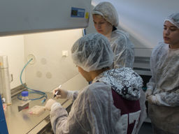 Experiencias “Viví Ciencia”: el 80% de los alumnos quiere ser científico