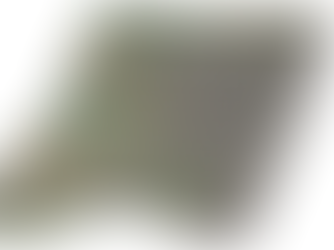 El Detector de Basurales a Cielo Abierto en el BID