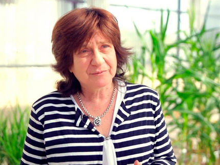 Una científica que se exilió a los 16 años, reconocida con el Premio Fundación Bunge y Born