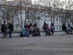 350.000 balcones y ninguna flor