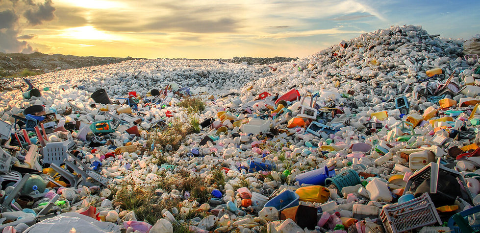Landfill-Garbage3.jpeg