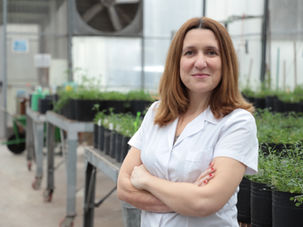 Una científica que colabora con el INTA Manfredi recibirá un importante reconocimiento