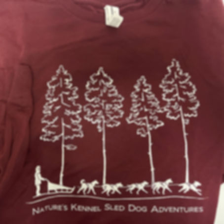 Long Sleeve T-Shirts--Super Soft Bella Cavas!