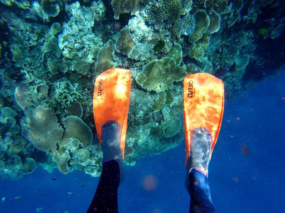 Diving