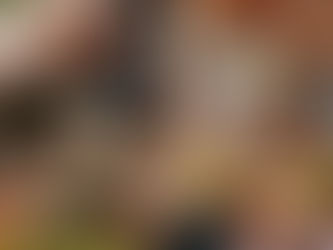 Top 5 Brunches in Singapore You Need to Try (And Why The Prince Tops the List)