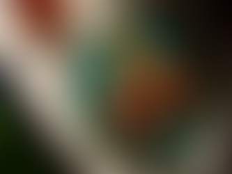 Family-Friendly Middle Eastern Food in Singapore