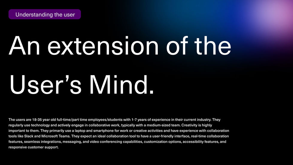 Understanding the User