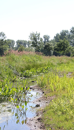 Roisdorfer Graben4.jpg