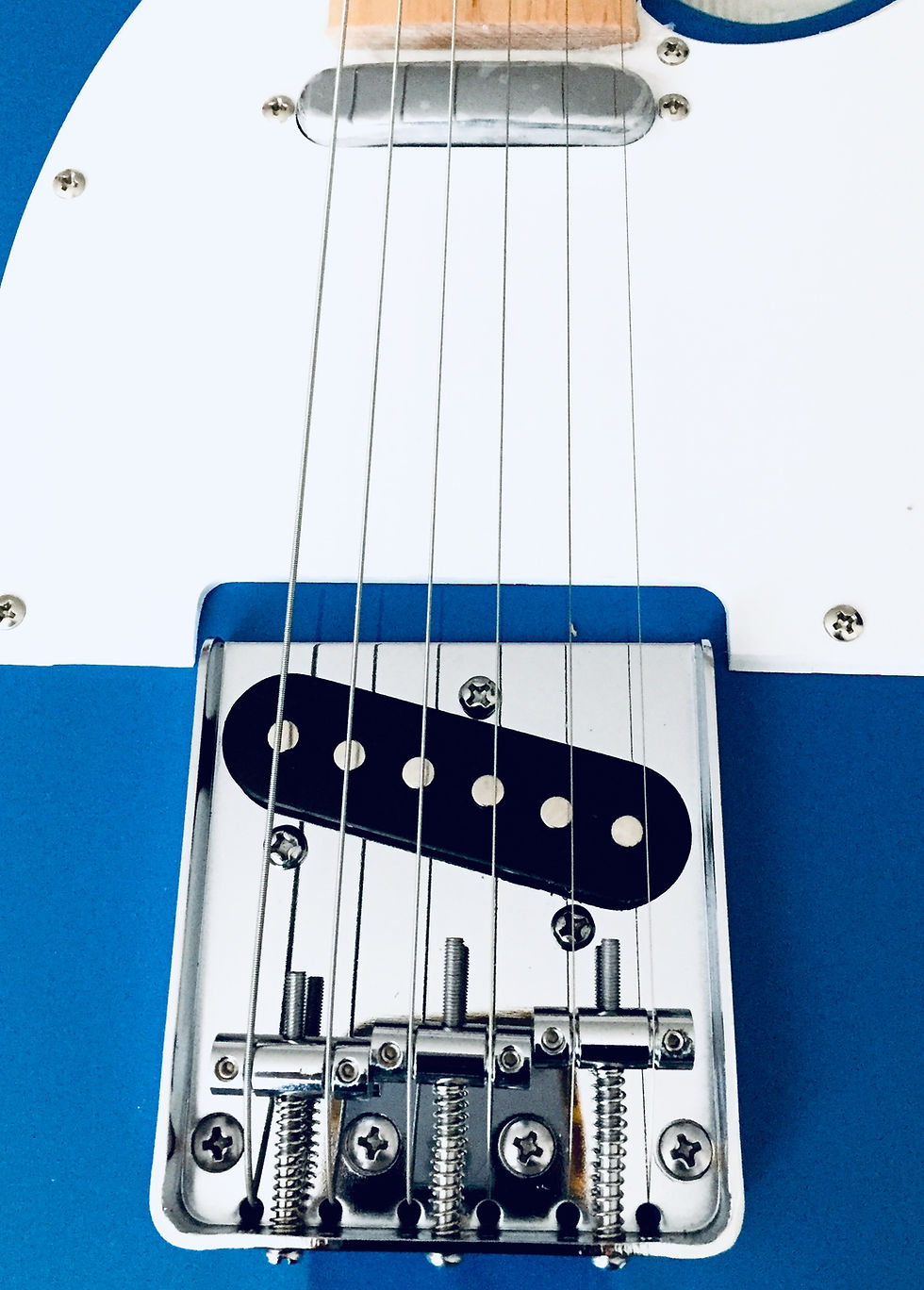 Miniatura: JMC TL BLUE