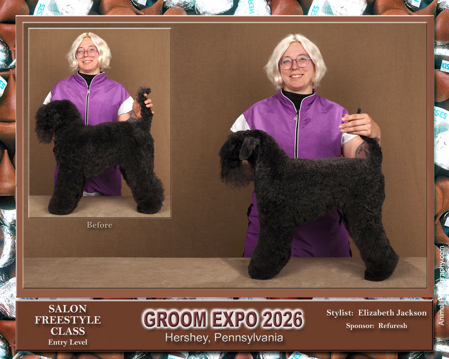 Salon Freestyle -GroomExpo