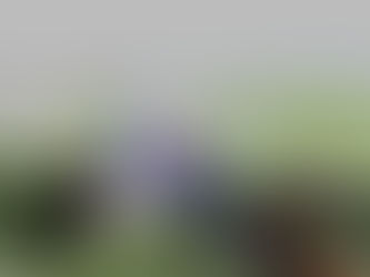 It’s mine – all mine!