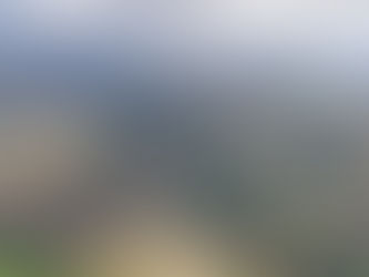 Wednesday 2nd September