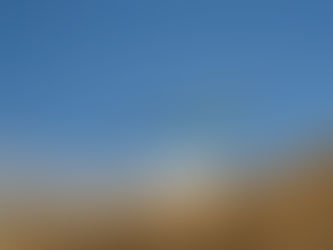 Summer Sunday (5th june – yes i did put may!!)