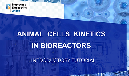 Animal cells kinetics.png