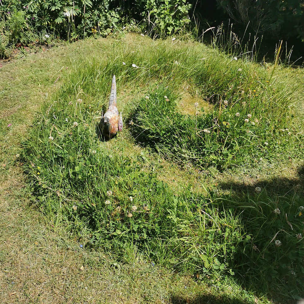 Grass spiral