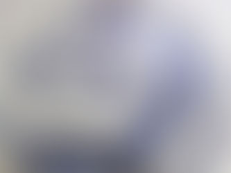 Magistri Studium Veneti