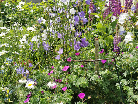 English cottage garden